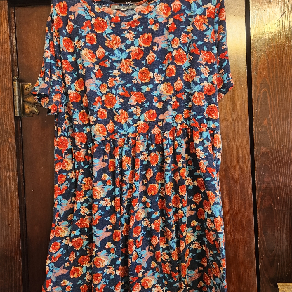 Floral Blue and Red Kids Dress